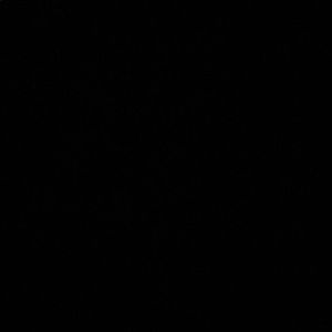 Meet your Posher, Lee